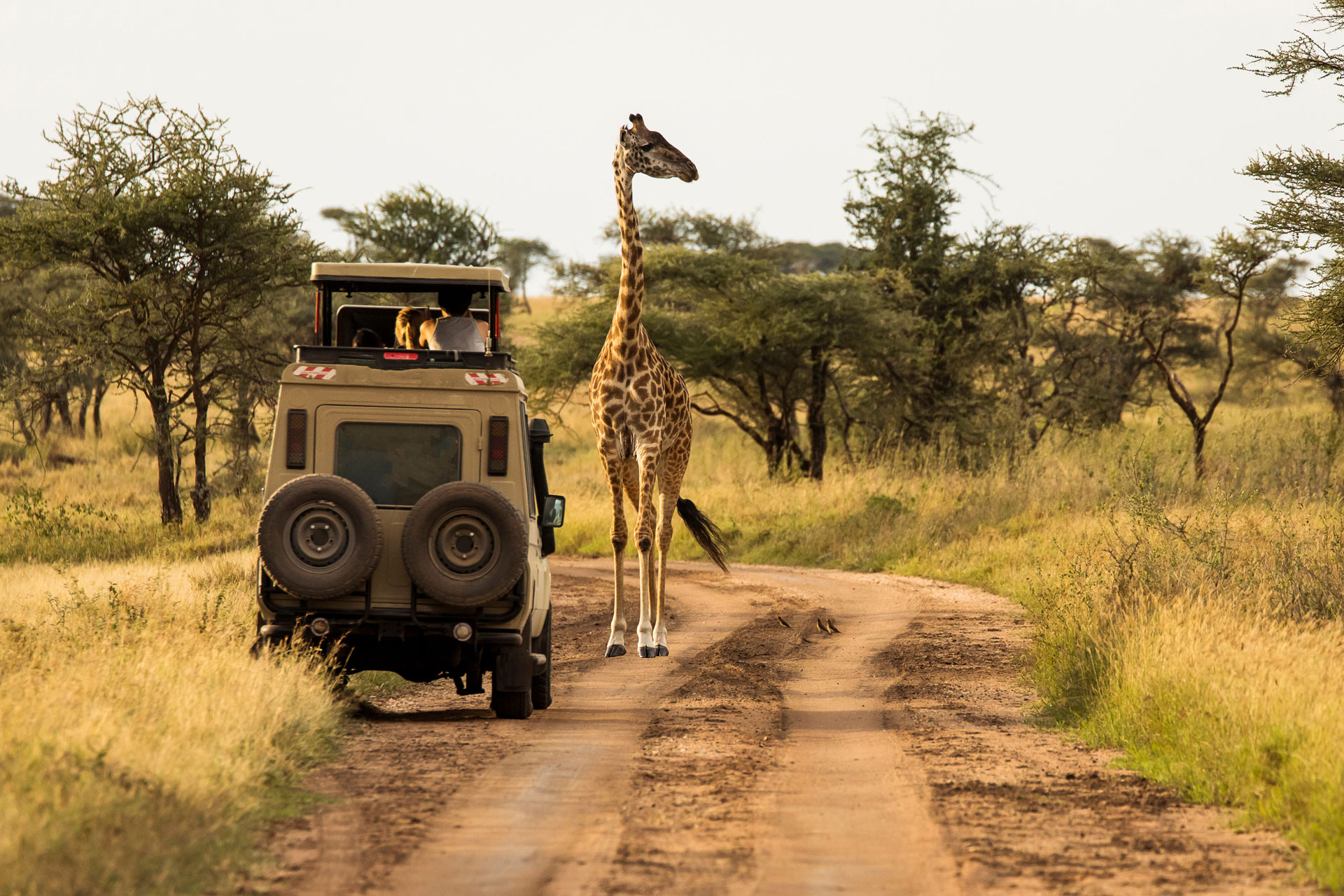 Tarangire National Park
