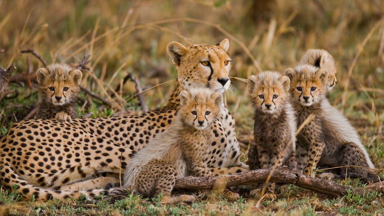 "Adventure Travel in Africa: Best Hiking Trails, Accommodation & Safety Tips"