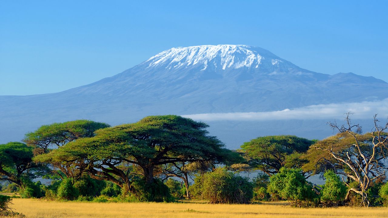 "Beach Holidays in Africa: Transportation, Snorkeling, and Activities"