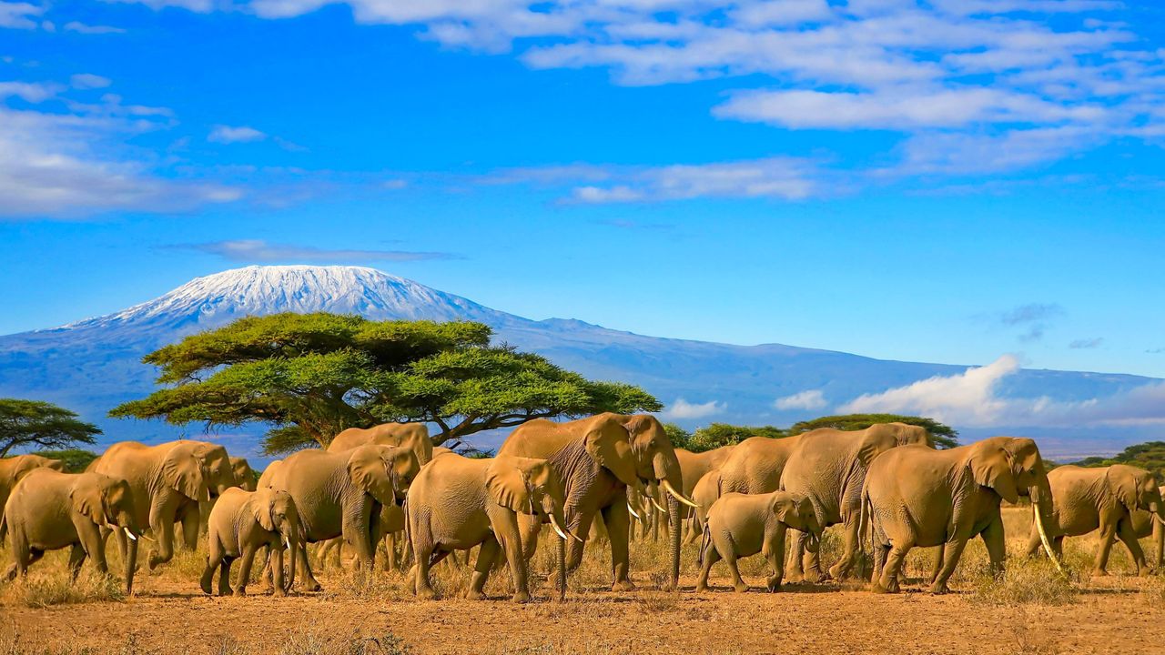 "Cultural Experiences in Africa: Discover Authenticity & Values through Cultural Tours"
