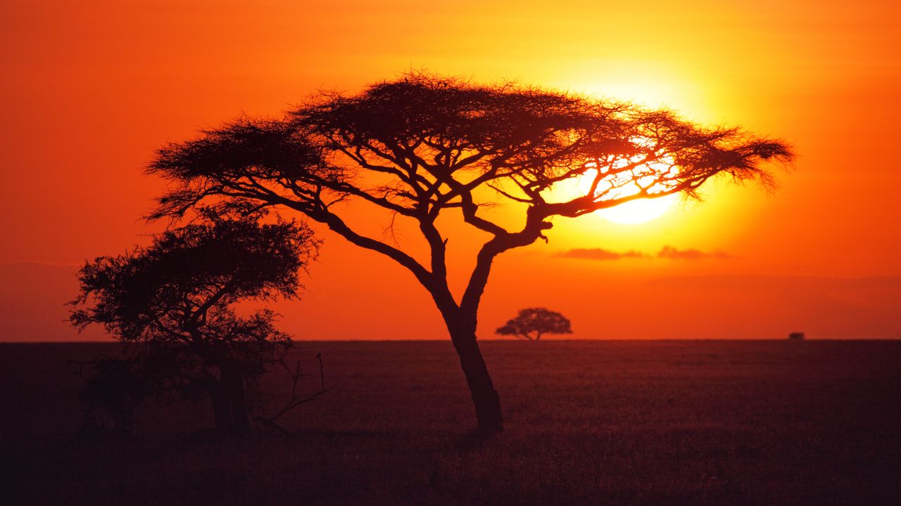 Exploring Serengeti National Park: Fees, Guides, and Weather