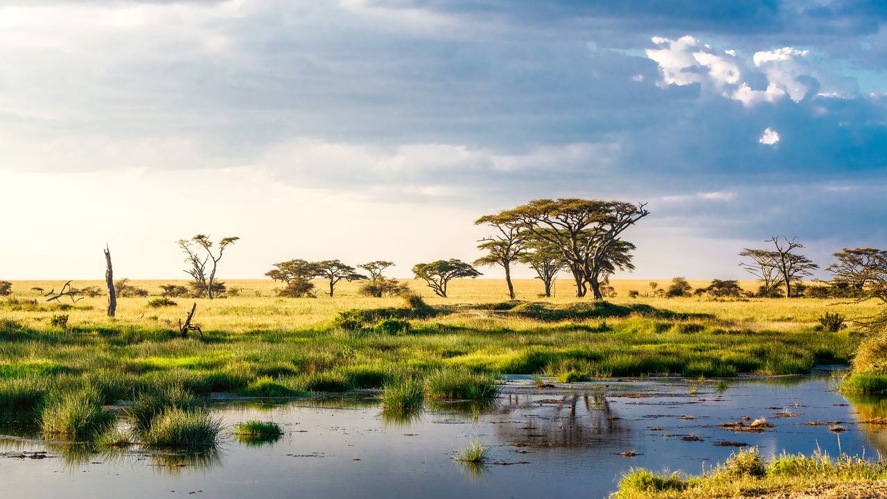 Adventure Travel in Africa: Unleash Your Inner Explorer