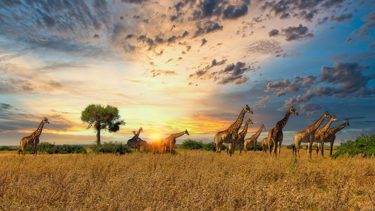 Exploring Africa's Historical Sites