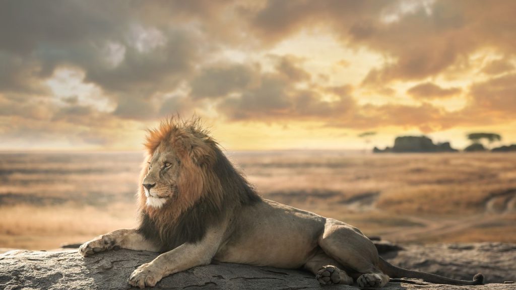 Safari Adventures in Serengeti National Park