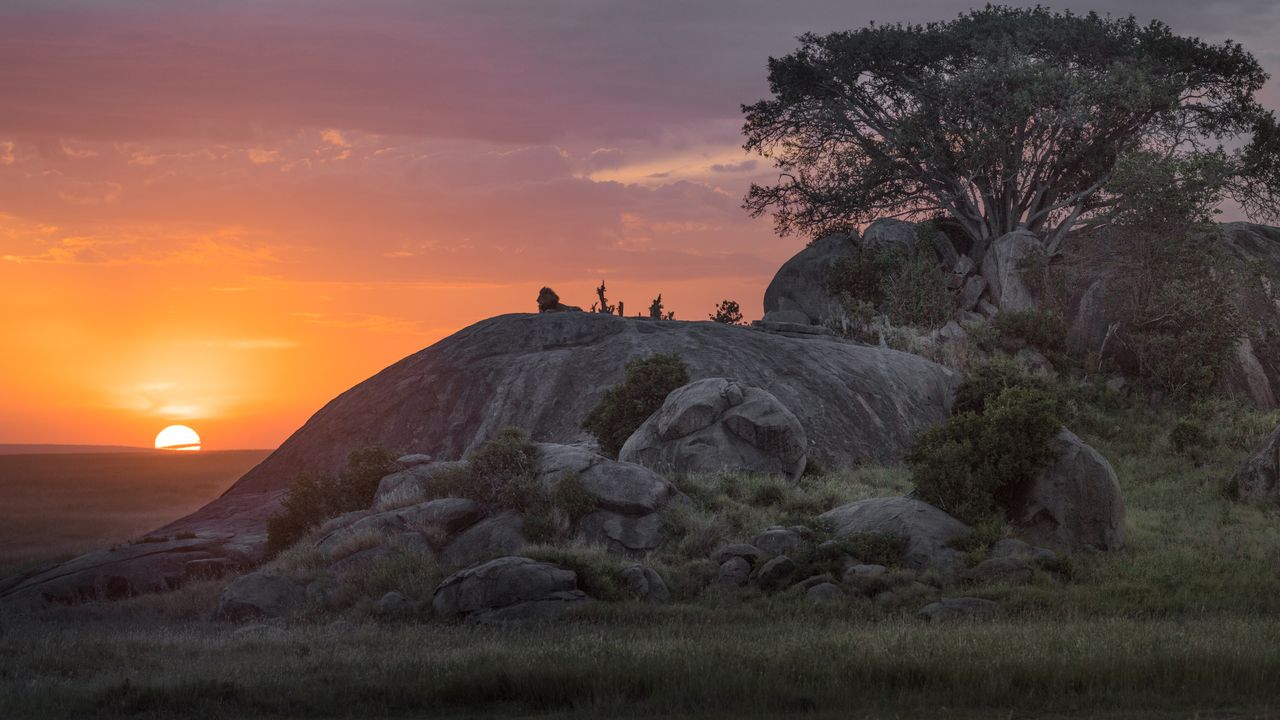 Luxury Safaris in Tanzania: Unforgettable Adventure