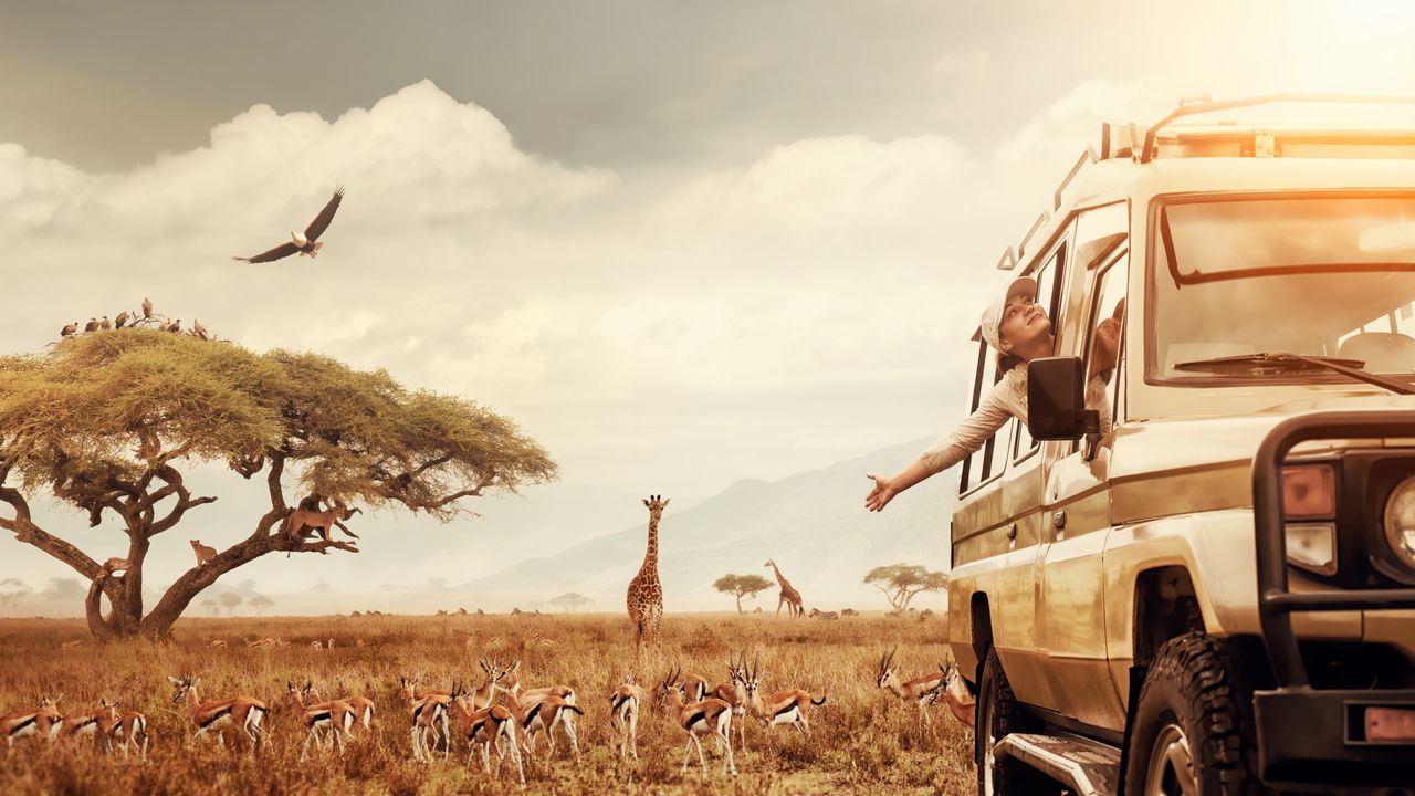 Unforgettable Animal Sightings on African Safaris