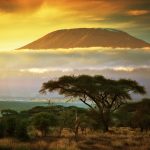 Exploring Historical Sites in Africa