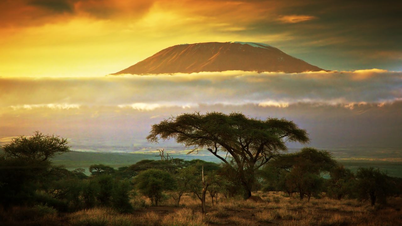 Exploring Historical Sites in Africa