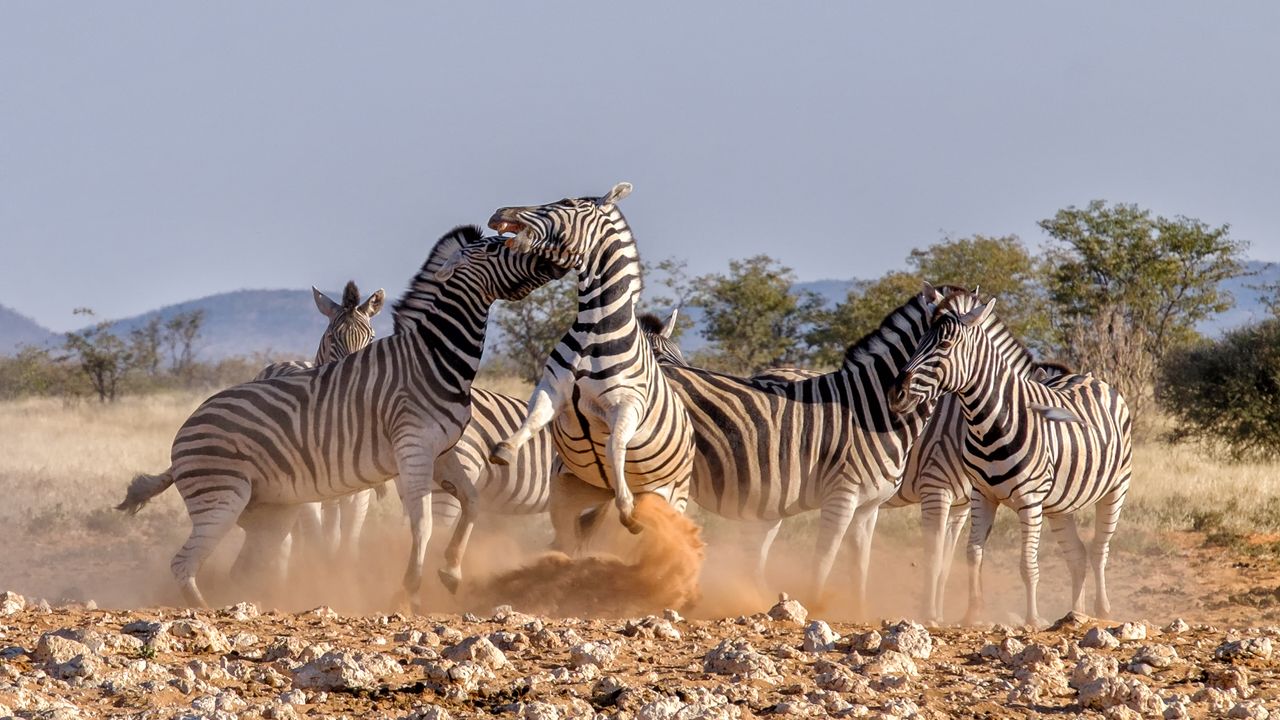 Serengeti National Park Guide