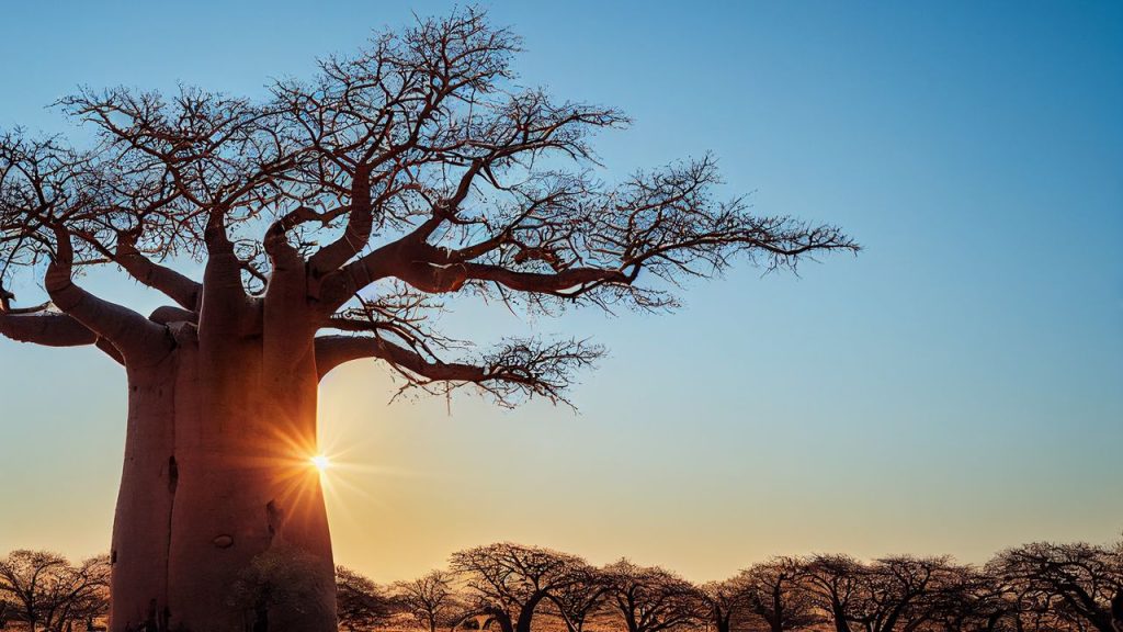 Thrilling Adventure Travel in Africa
